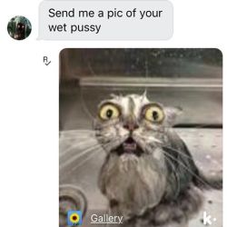 meefling:  Another demonstration of my high level of maturity and tolerance for people sending me dick pics. Yes, I am a very responsible adult.  Lol