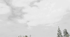  a gifset per episode : 1x03 “Pack Mentality”  &ldquo; You know what else