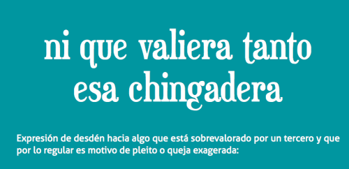 Efímera Belleza