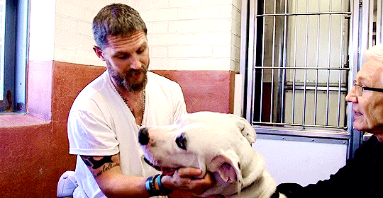 kinghardy:  Tom Hardy on Paul O’Grady’s, For The Love Of Dogs 