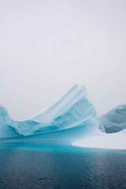 archenland:  Windswept by Peter Pawlowski 