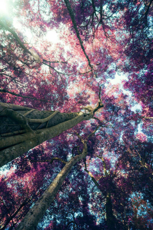 YOU are very welcome! Wish you great time here! Enjoy! :))