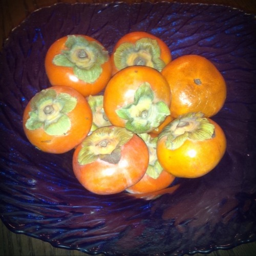 Fuyu persimmons about to be devoured. They are becoming increasingly available in local markets acro