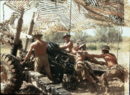 British gunners of the 75th (Shropshire Yeomanry) MediumRegiment, Royal Artillery, in action with a 