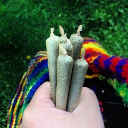 weedporndaily:  cannabisari