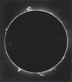 spectral-insomnia:  Unidentified Photographer - “Eclipse” - d. 1929. 