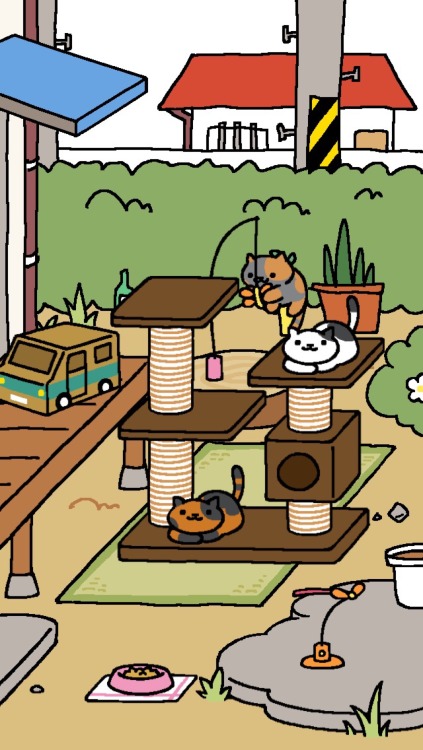 My cute meows. Saving up for that yard expansion. Almost there ;3