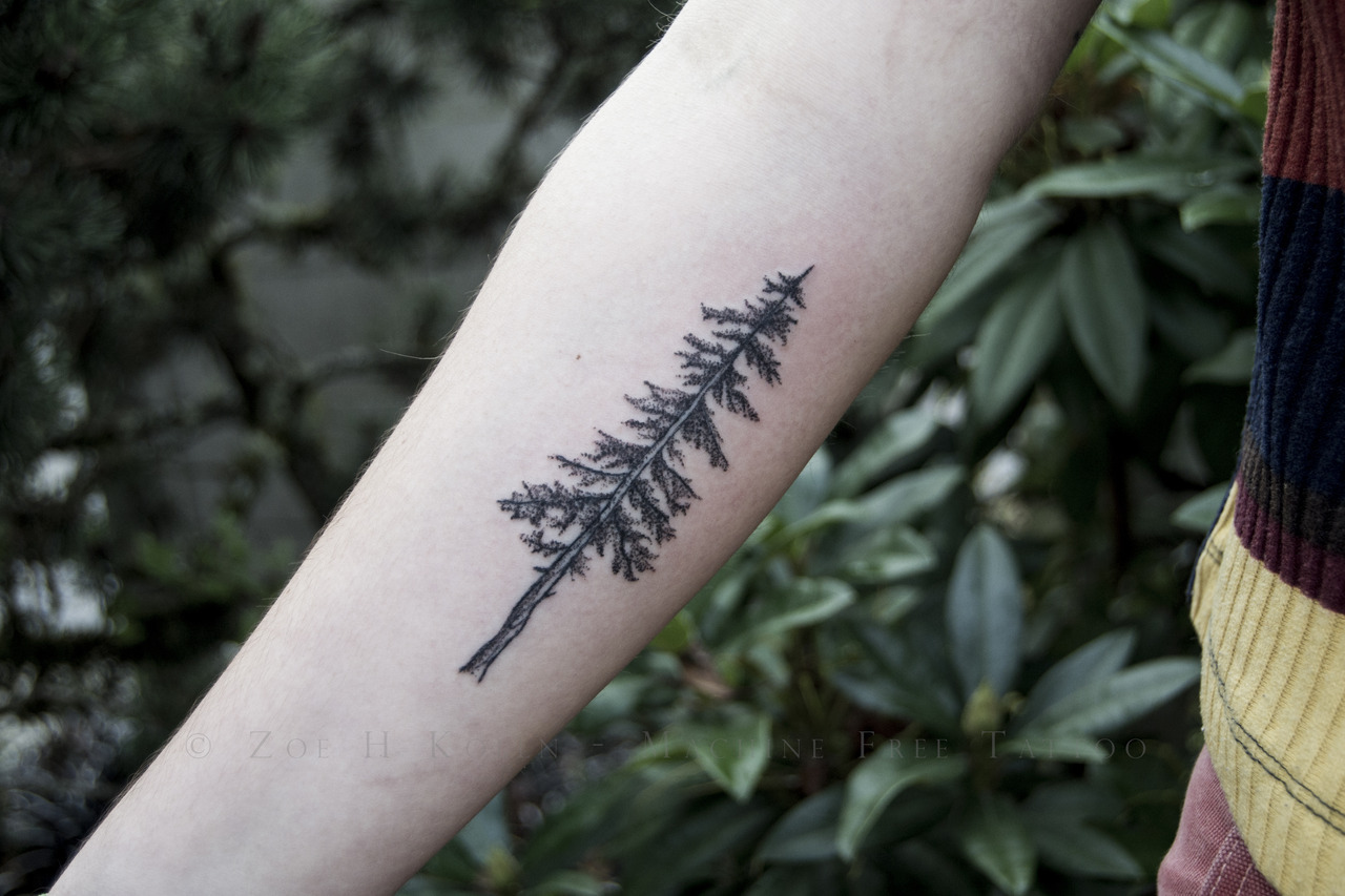 Tree Tattoo Meaning  What do Different Tree Tattoos Symbolize