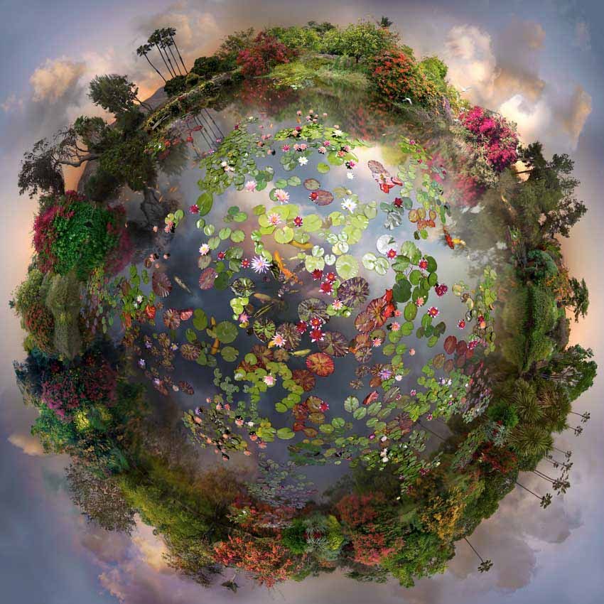 therhumboogie:  By Catherine Nelson, I find myself mesmerised by these astounding,