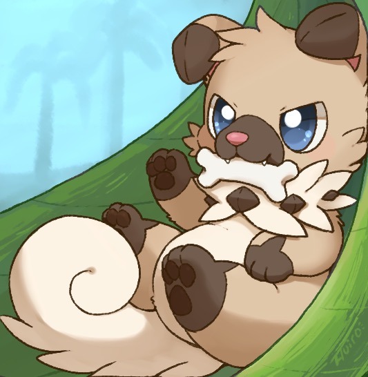 huiro:  new dog Pokemon！ 