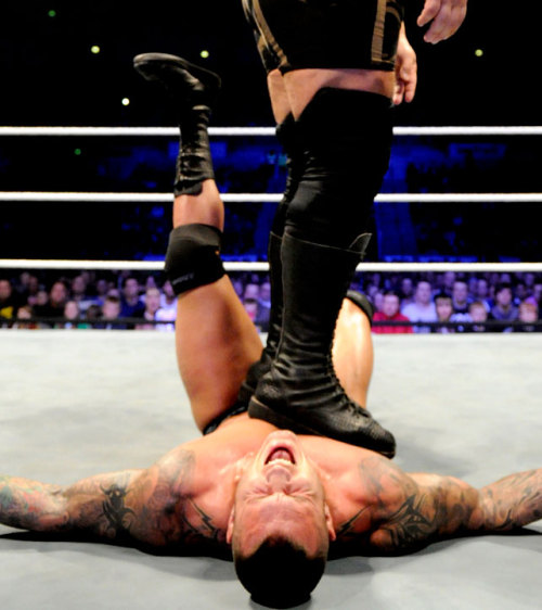 XXX fishbulbsuplex:  The Big Show vs. Randy Orton photo
