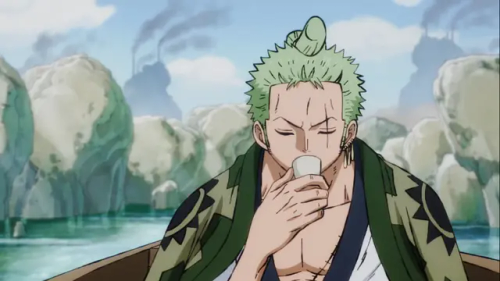 Distraction Or Devotion (Zoro X Reader) 