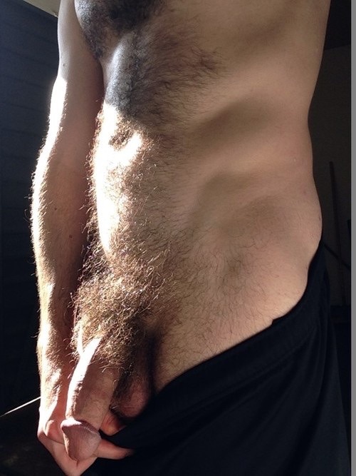 mydaddyishairy:  My Daddy is Hairy: Archive