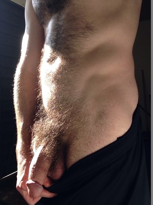 mydaddyishairy:  My Daddy is Hairy: Archive porn pictures