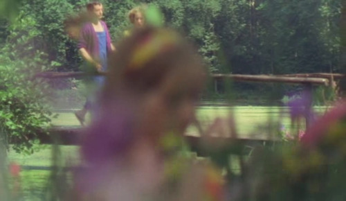 Le bonheur (1965)dir. Agnès Varda / dop. Claude Beausoleil & Jean Rabier