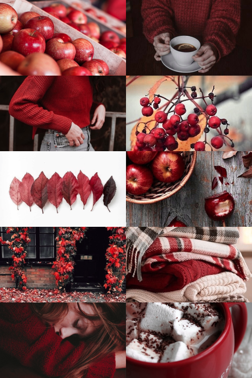 skcgsra:autumn reds aesthetic