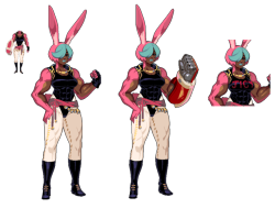 s-purple:Some minor changes were done to Fio , the rabbit girl companion.