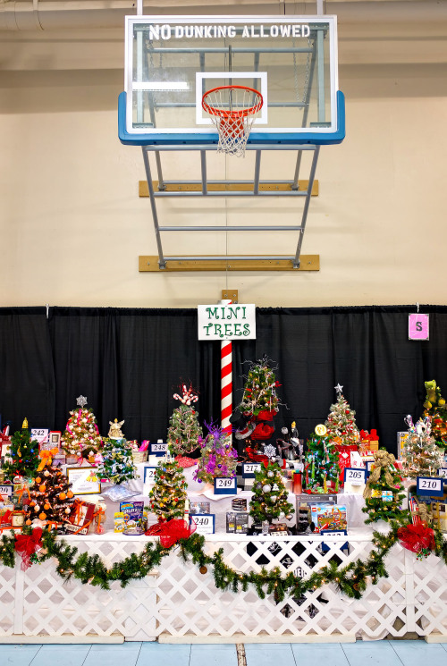 Festival of Trees display (no dunking) - Vacaville, CA