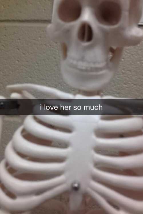 asapscience:  fanmanning:  I love my humerus humor.  A++++