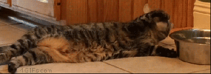 godotal:  Maximum laziness