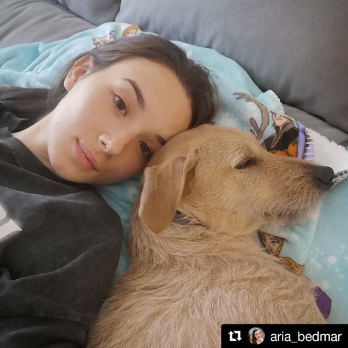 #Hotspot: quien pudiera ser perrito para quedarse con Aria Bedmar a pasar la cuarentena, che! . ▪ ▪ 