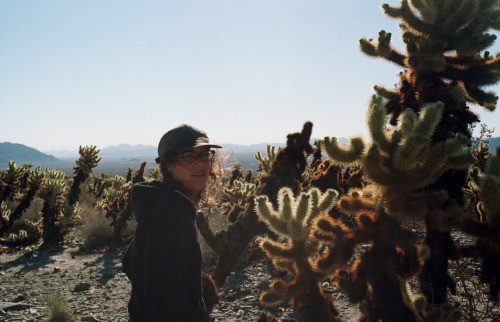 March 26th, Joshua TreeMae among the Chollas