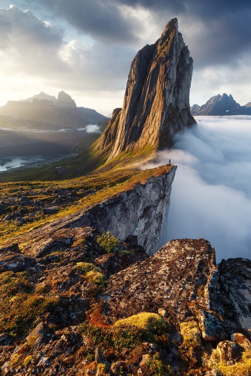 wherehaveyoubeard:Forgotten Ship | Beboy Photographies