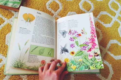 tearyplant:fernpetal:put all my plant books together and looked through each and every oneaesthetic