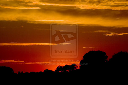 Photo of the day - sunset in houghton 13
sunset in houghton 13 from my DeviantArt Gallery