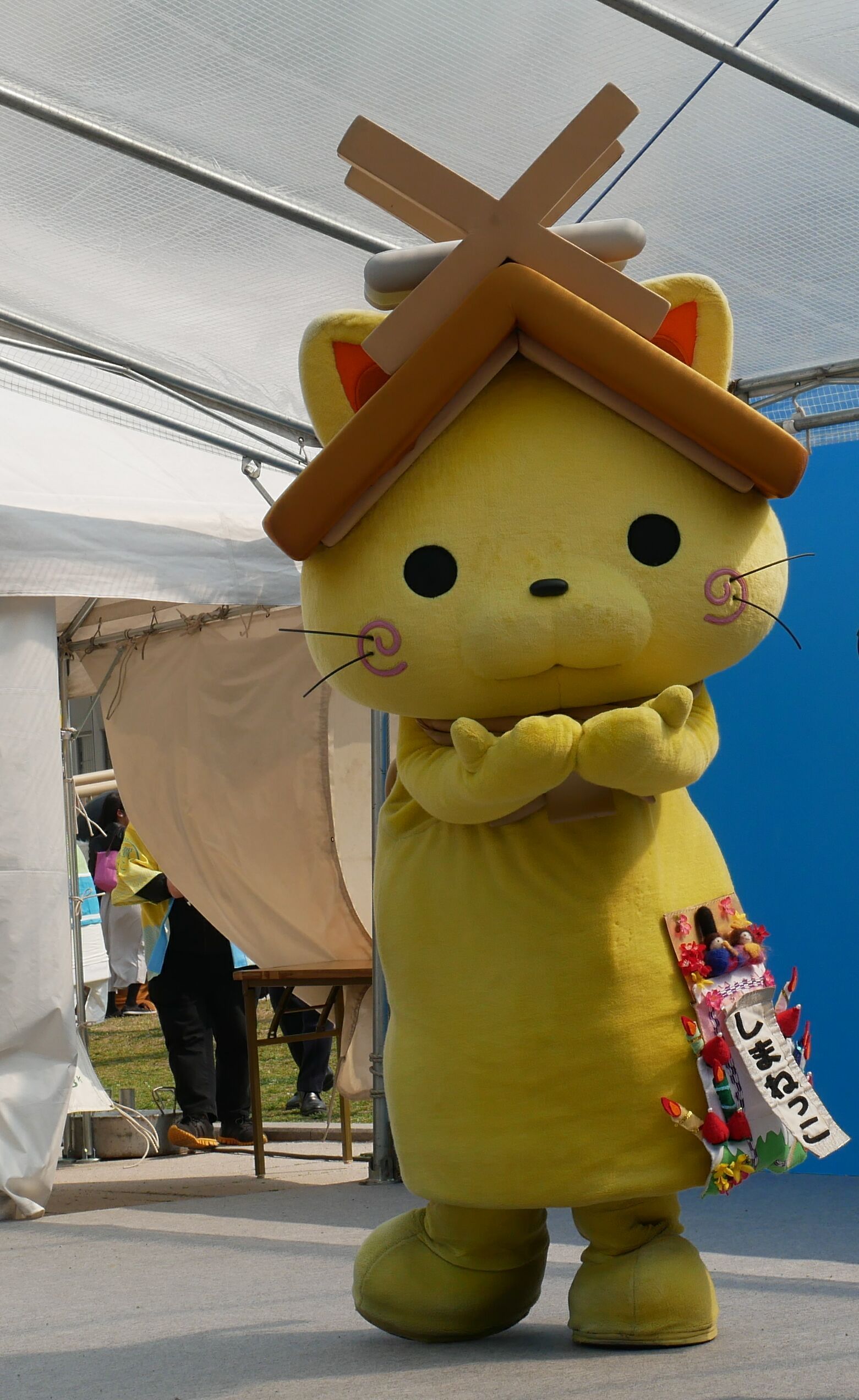 しまねっこ Explore Tumblr Posts And Blogs Tumgir しまねっこ Explore Tumblr Posts And Blogs Tumgir