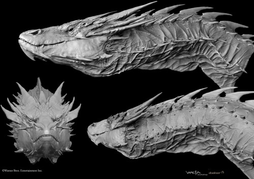 cumberbum:  Smaug Concept art 