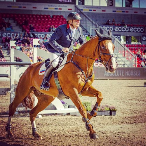 #vladimirbeletskiy #matsupduplessis #herning2013 #showjumper #professional #twohearts #horsesofinsta