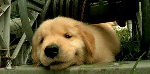 matthewofficiall:Hopefully this made you smile :)  awwwww