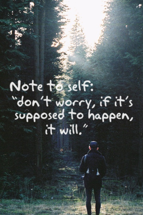 NEVER TRUST TOO MUCH
