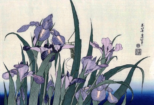 Porn catmota:   Iris Flowers and Grasshopper  (c.1830-31) photos