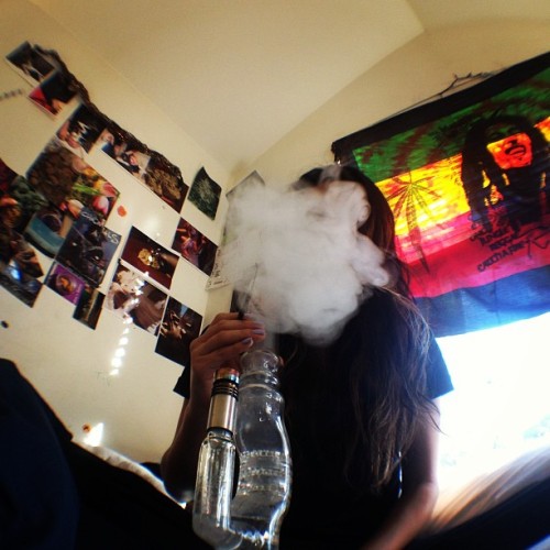 Rogue Ganja