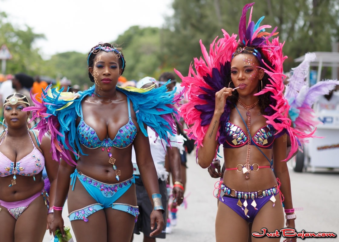 peopleofbajanheritage:Grand Kadooment 2016 (Barbados)