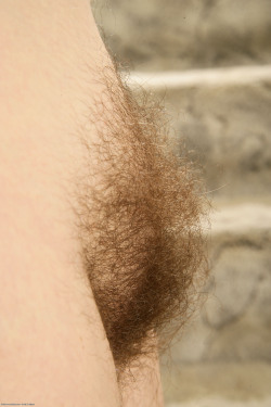 hairybi:  Same pussy, different views 