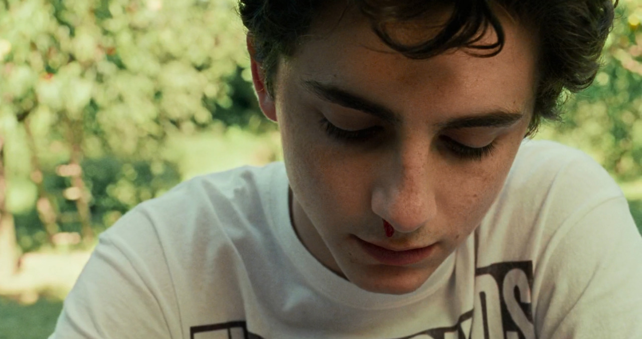 velvetnyc:  Call Me by Your Name (2017) dir. Luca Guadagnino