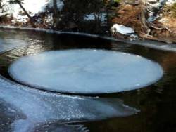 sixpenceee: An ice circle is a natural phenomenon that occurs in slow moving water in cold climates. They are very rare and they rotate. They are formed when floating bits of ice get caught in an eddy (a whirlpool) and start spinning in a circle. 