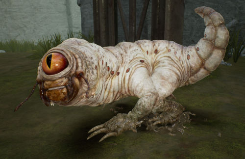 Bog Rat