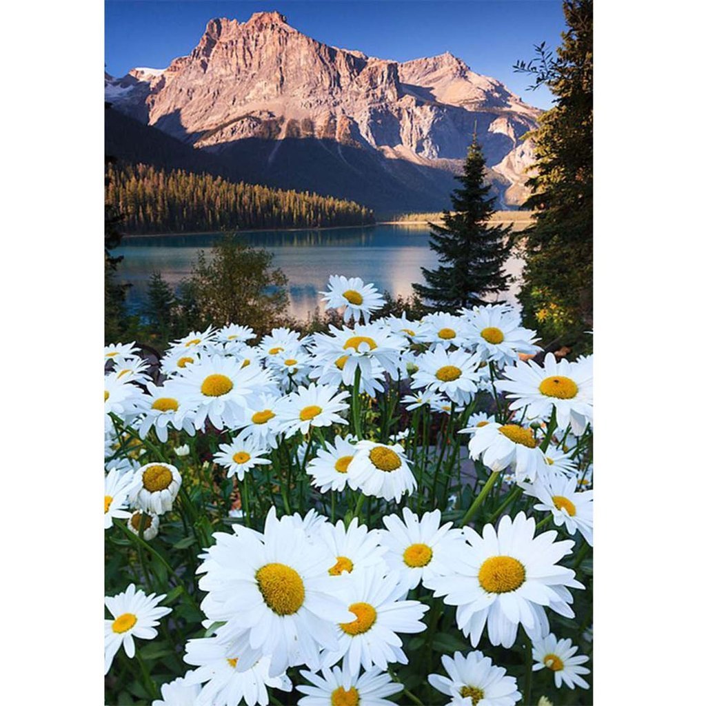 5D Diamond Painting White Wildflower Scenery by the Lake