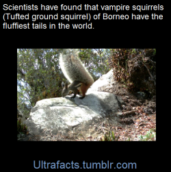 ultrafacts:    Few scientists have ever seen