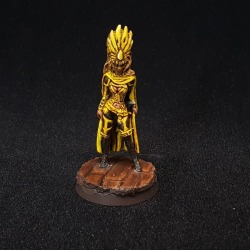 kouratdrhuii:  Calastria priestess  This mini is a pathfinder leader from reaper pathfinder miniatures  commission