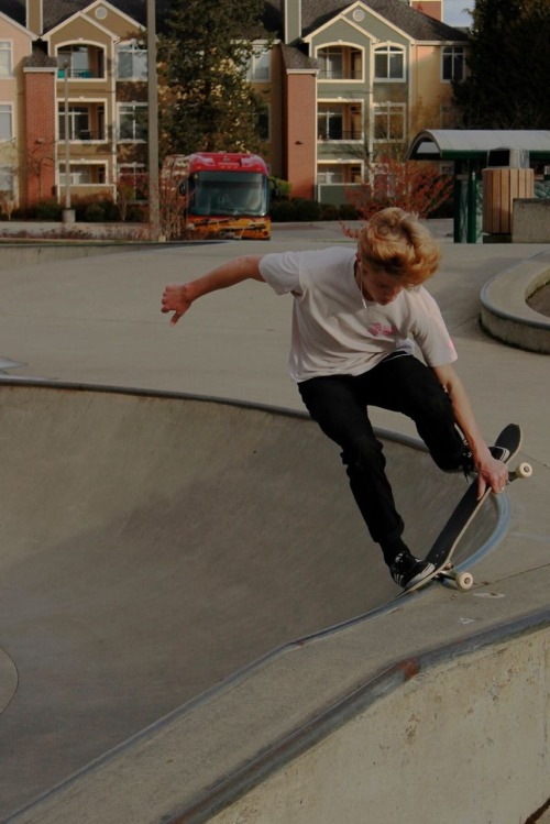 skateious:  sxff:// urban //  pure skate
