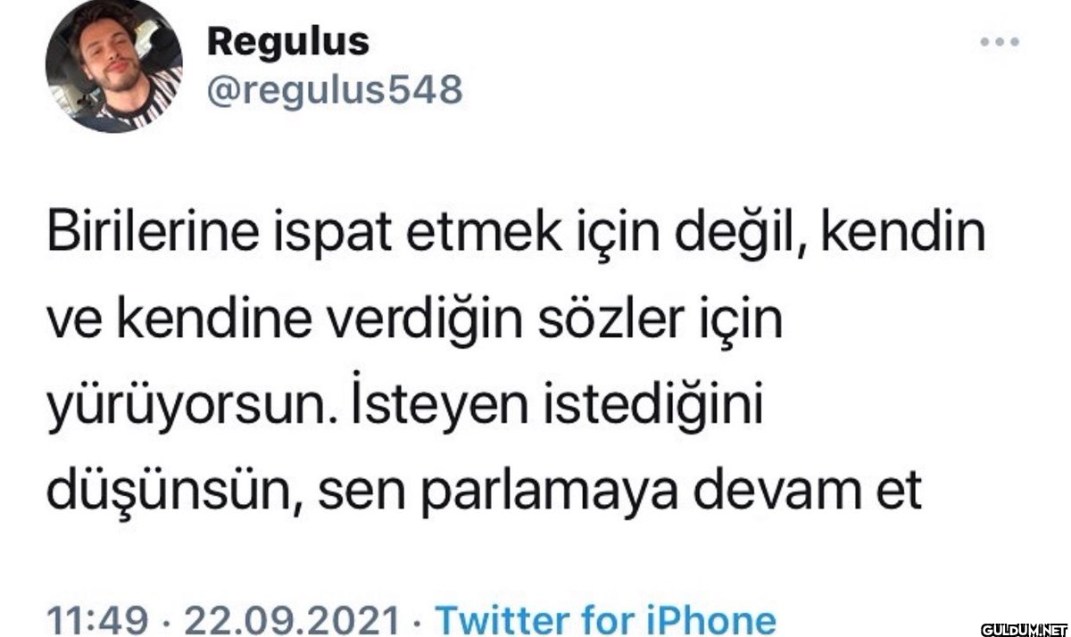 Regulus @regulus548...