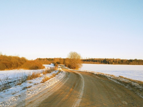 Spring, Even Though We Can't See It, Even Though It's Frozen, It's Already On Its Way // Part 2