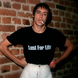 colecciones:Iggy Pop at the Hotel Reisen, Stockholm , 1977. Photo by Torbjörn Calvero.