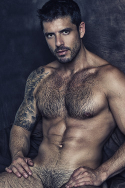 Hairy-Chests:  Muscle  Hairy                                                   .Hairy-Chests 