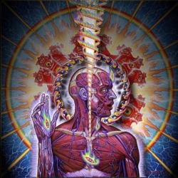 Lateralus